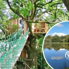 Le nid dans le chêne