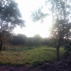 Mastev Campsite Undeveloped