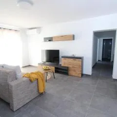 Fly in Apartment