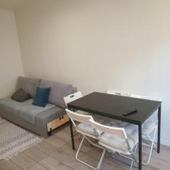 Appartement centre ville pied du metro