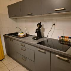Maison avec 4 chambres BREST et TV dans chaque chambre
