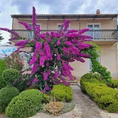 Bošana Beach Apartment Biograd