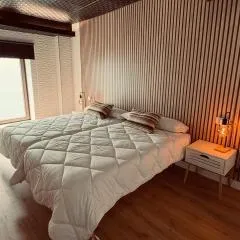 Apartamentos villa Carolina