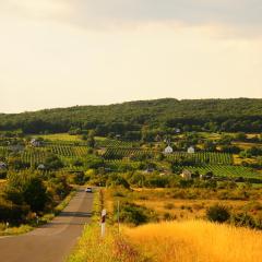 Első Ház Tagyon
