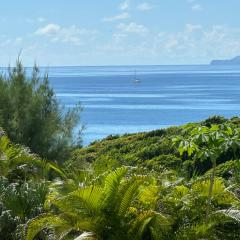 Iguane House Villas & Micro Spa
