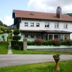 Gîte chaleureux à La Bresse avec terrasse, barbecue et proche des pistes de ski - FR-1-589-189