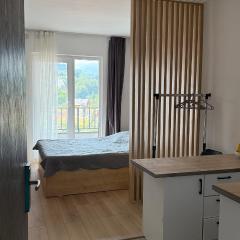 Cozy apartment X2 Development