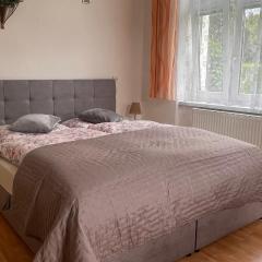 Vila u Šebestů - apartmány Volary