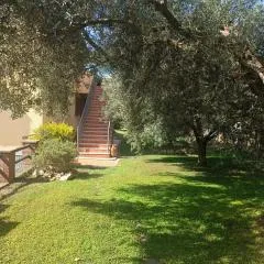 Appartamento Farfollie