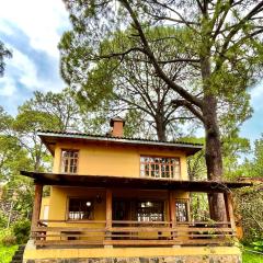 Casa del Bosque