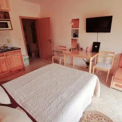 Студио PANORAMA MOUNTAIN, до ски писта Пампорово-Стойките