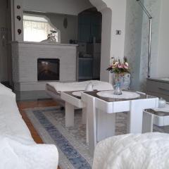 Cozy Apartment near city center