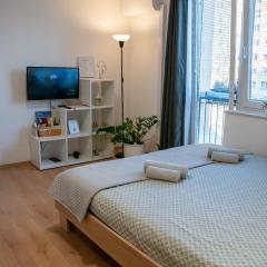 Small but cozy apartment