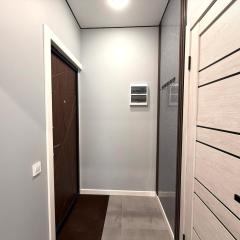 Квартира- студия Раимбек 16-1 & питьевая вода в подарок