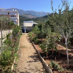 Little Paradise Livadi Himare