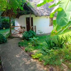 The Makuti breeze house