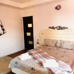 Simple and Cozy Room in Voluntari