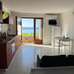 Studio Apartment Ravel