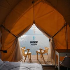 Reef Resort - Pearl Farm Resort View B5