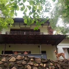 Seethavanam Farmstay at Forest Edge