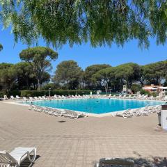 Appartement WiFi parking, tennis, piscine au mileu des golfs de Valescure