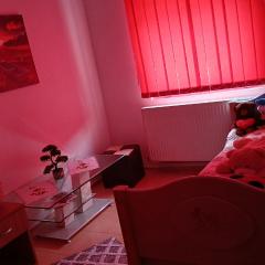 Apartment boulevard Cetate