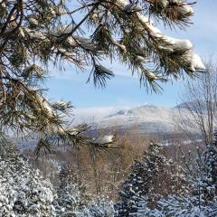 Sutton's montagne view