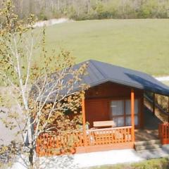Chalet Accessible avec Terrasse - 5 Pers - API-1-52-283