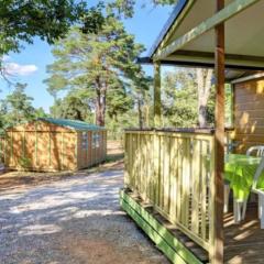 Mobil-home 7 pers avec terrasse - API-1-52-737