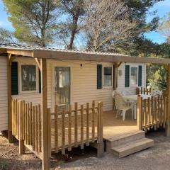 Mobil home 6 personnes avec terrasse à Lézignan-Corbières - API-1-52-736