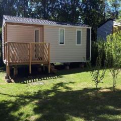 Mobil home avec Terrasse - 4 pers, 2 chambres - API-1-52-246