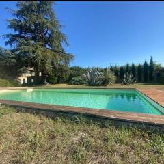 Chicken roulotte des 3 cèdres