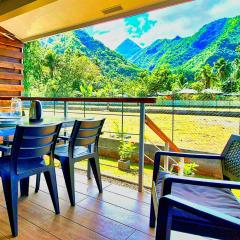 Teahupo'o Lodge Tahiti - Studio Tropical - climatisé - entre randonnées et activités nautiques