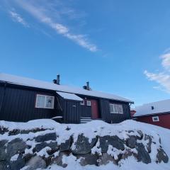 Koselig hytte sentralt på Norefjell, ski in & out