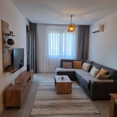 Violin Apartment