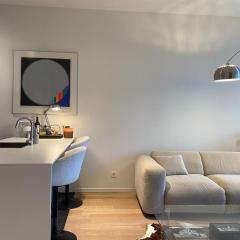 Designer Apartment on the Skyline of Brussels
