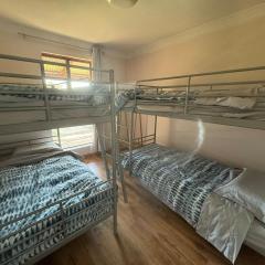 Sandy Paws and Salty Air