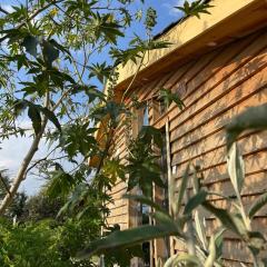 Couple's Wood Cabin in Naivasha - Elwai Visitor Centre