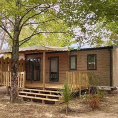 Mobil-home Prestige avec Terrasse, 3 Chambres, 6 Couchages - API-1-52-645