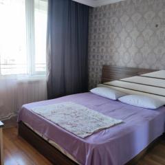 Guesthouse Davit Guramishvili 21