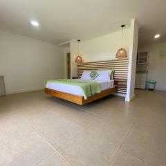 Savannah Inn Suite 102