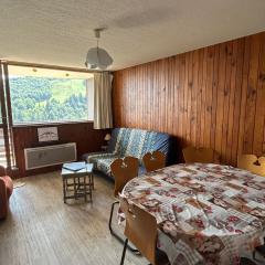 Spacieux Appartement au Pied des Pistes - FR-1-814-21