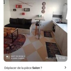 Le parisien