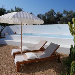 Refuge with pool, between Melides and Comporta