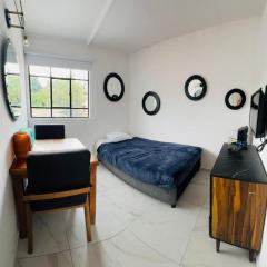 mini loft in Polanco