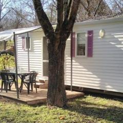 Mobil home avec Terrasse, 4 pers, 2 ch - API-1-52-502