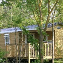 Mobil-home 4 pers avec Terrasse à Chaillé-les-Marais - API-1-52-574