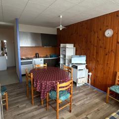 Appartement 2 pièces vue montagne, proche pistes et lac - FR-1-814-64