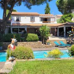 Entre les pins et les oliviers