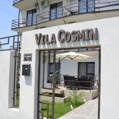 Vila Cosmin